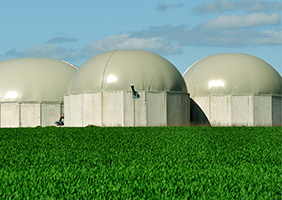 Biogas Combined Heat & Power